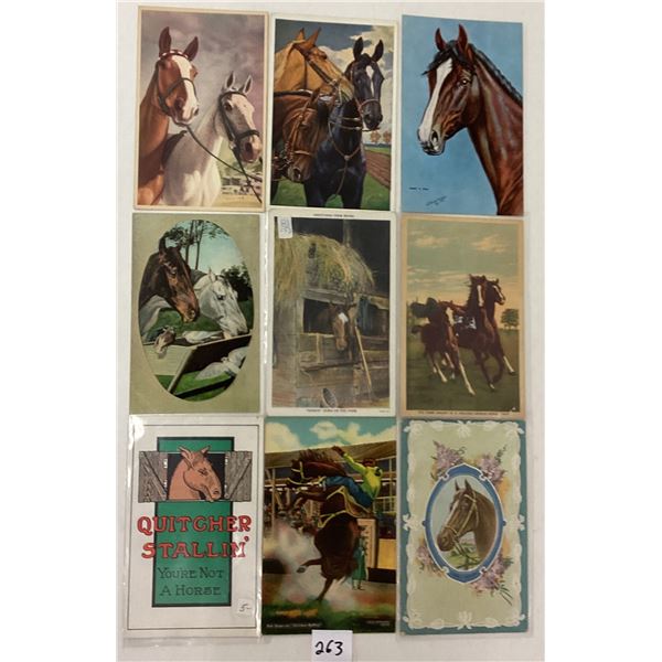 Animals - Horses Postcards 70