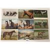 Image 2 : Animals - Horses Postcards 70