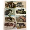 Image 3 : Animals - Horses Postcards 70