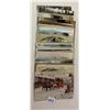 Image 4 : Animals - Horses Postcards 70