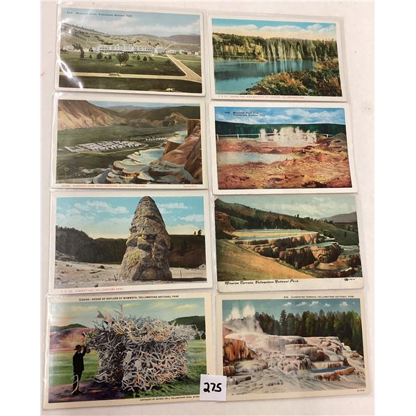 Yellowstone National Park Postcards Approx. 75