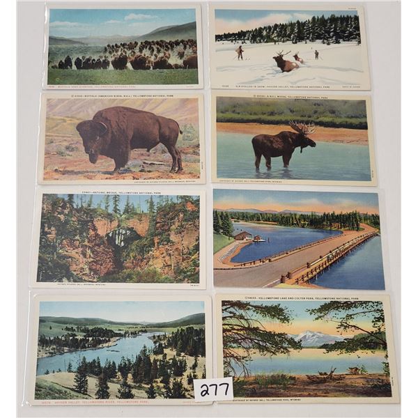 Yellowstone National Park Postcards 35+