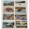 Image 1 : Yellowstone National Park Postcards 35+