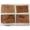 Image 2 : Novelty - Leather Misc. Postcards 45+