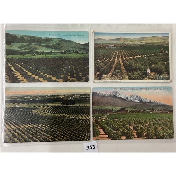 California Farming & Related Postcard Album Approx. 115