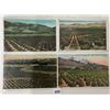 Image 1 : California Farming & Related Postcard Album Approx. 115