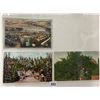 Image 3 : California Farming & Related Postcard Album Approx. 115
