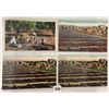 Image 5 : California Farming & Related Postcard Album Approx. 115
