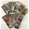 Image 5 : California Redwoods Postcards 46