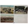 Image 2 : California Ostrich Related Postcards 15