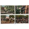 Image 4 : California Ostrich Related Postcards 15