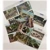 Image 5 : California Ostrich Related Postcards 15