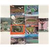 Image 5 : Sports - Baseball & Football Stadium Postcards 325+