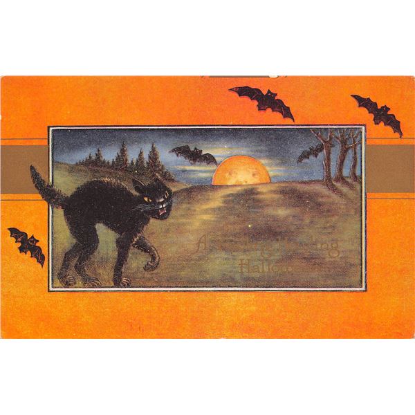 Orange Border Whitney Halloween Black Cat & Bats Holiday Greeting PC