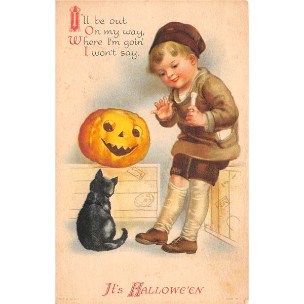 Clapsaddle Wolf Pub. It's Halloween Cat, JOL & Boy Holiday Greeting Postcard
