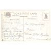 Image 2 : Tuck Series 160 Devil Halloween Menu Holiday Postcard