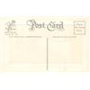 Image 2 : Fairman Pink Perfection Halloween Holiday Greeting Postcard