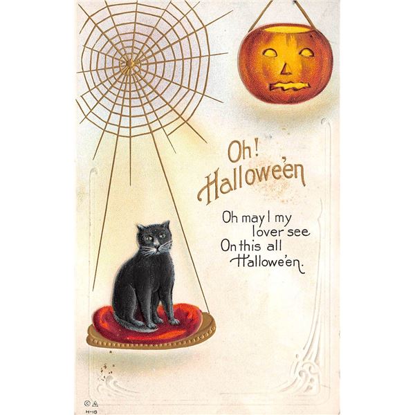 Nash Halloween Black Cat Under Web Holiday Greeting PC
