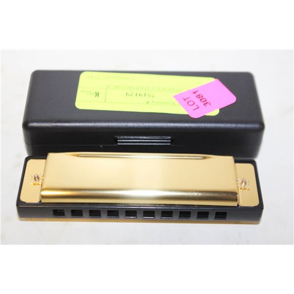 NEW 10 HOLES HARMONICA