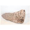 Image 1 : LARGE PIECE OF CORAL - 11 POUND AND 16"L