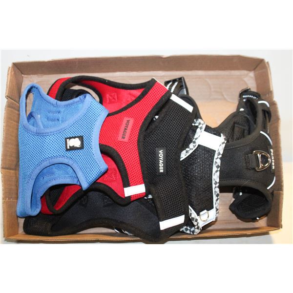 FLAT OF ASSORTED MESH DOG HARNESS