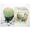 Image 1 : CACTUS LAMP