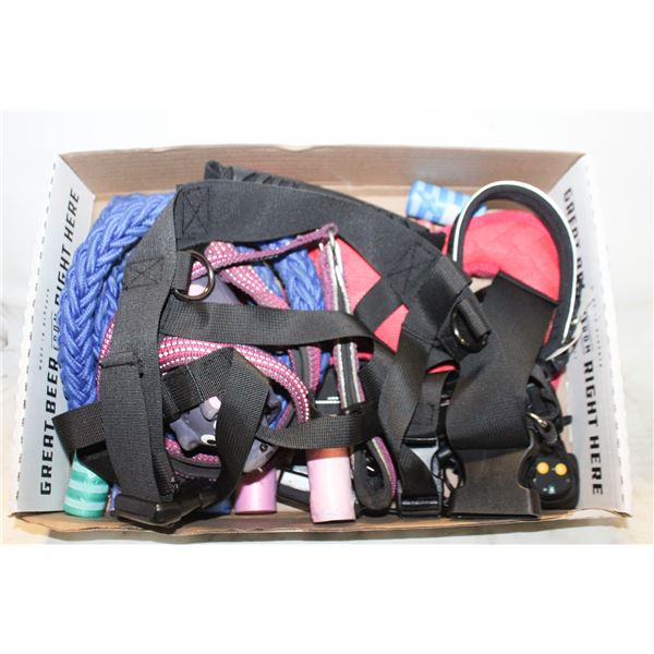 FLAT WITH ELECTRIC DOG COLLAR LEASH TOYS