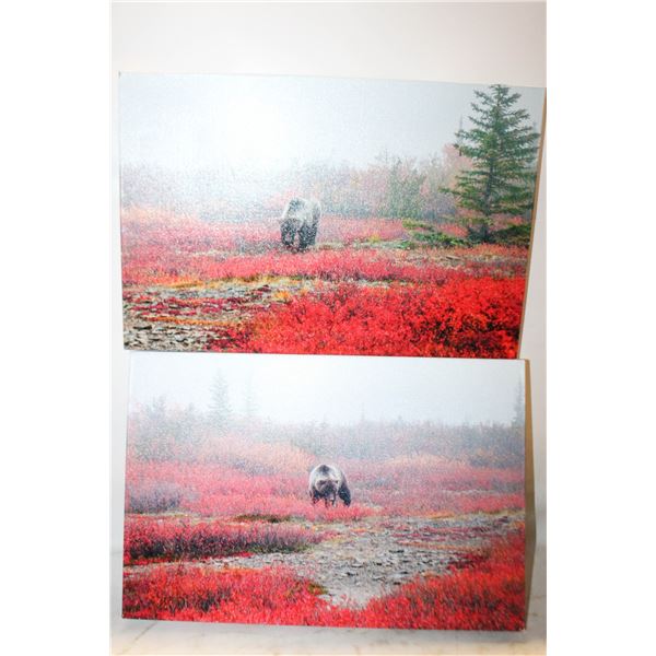 2 SILVERTIP GRIZZLY 12 X 18 CANVAS MADE