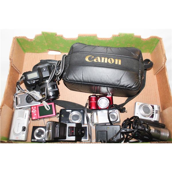 LOT OF CAMERAS