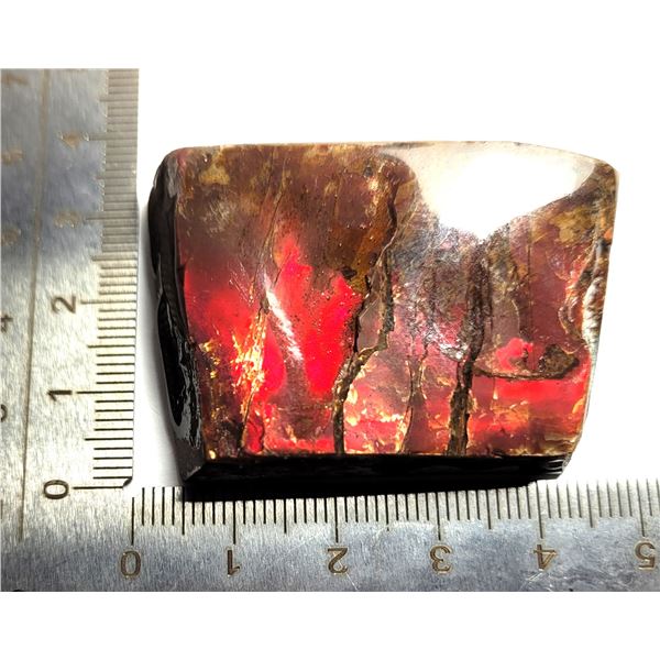 26)  NATURAL RED FIRE 43 GRAM