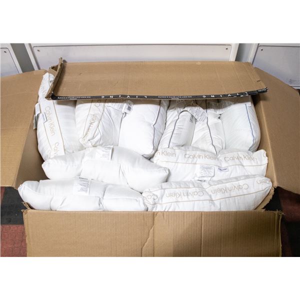 LOT OF 10 VARIOUS SIZE PILLOWS, MIXED CONDITION