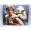 Image 1 : MARK HAMILL SIGNED STAR WARS PHOTOS W/COA