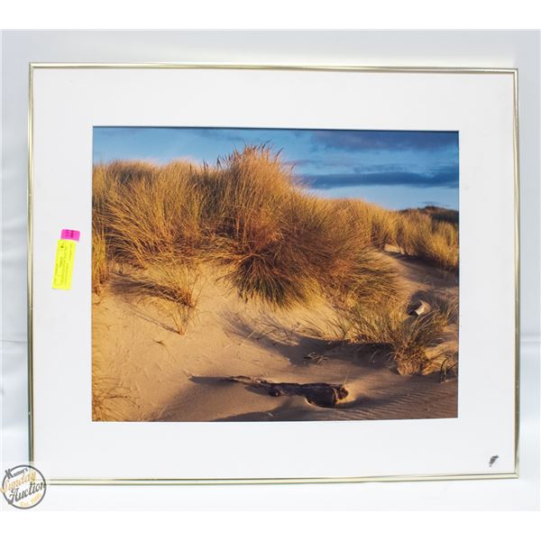 25X38 OCEAN SCENE WALL ART CANVAS FRAMED