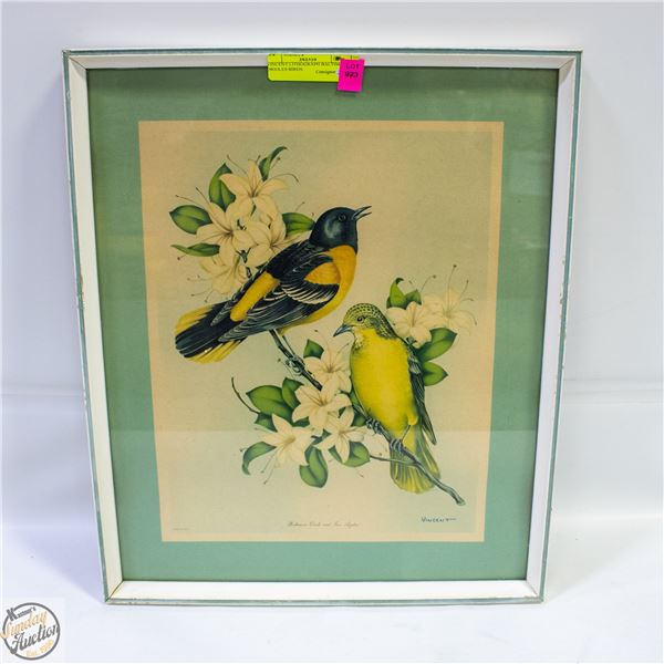 VINCENT LITHOGRAPH BALTIMORE ORIOLES BIRDS