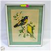 Image 1 : VINCENT LITHOGRAPH BALTIMORE ORIOLES BIRDS
