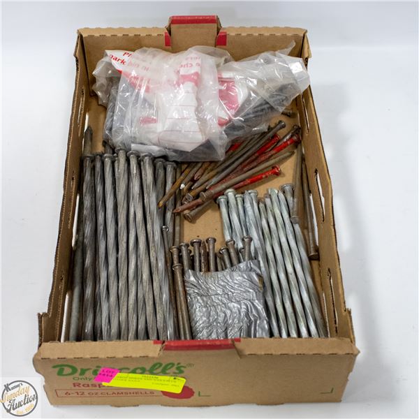 LARGE SPIKES AND NAILS PLUS OTHER NAILS