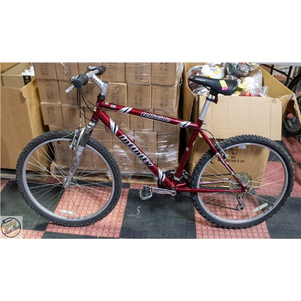 21 SPEED INFINITY MOUNTAIN BIKE