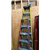 Image 1 : 2 LADDERS 6' & 8'