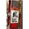 Image 3 : 2 LADDERS 6' & 8'
