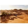 Image 3 : Desert Safari & Dubai Escape for Two