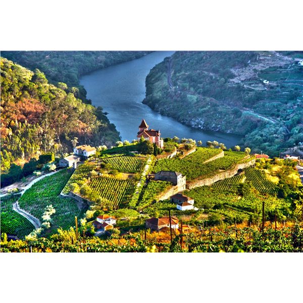 Porto & Douro Wine and Culture Escape for Four
