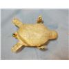 Image 3 : Beaded turtle umbilical fetish