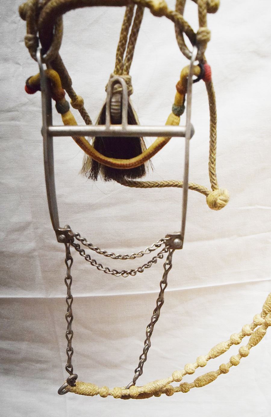 Wyoming State Pennitentary silver inlaid bit w/rawhide braided bridle