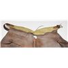 Image 3 : Gary Johnson batwing chaps