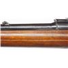 Image 12 : Win. Model 70, .243 Win.