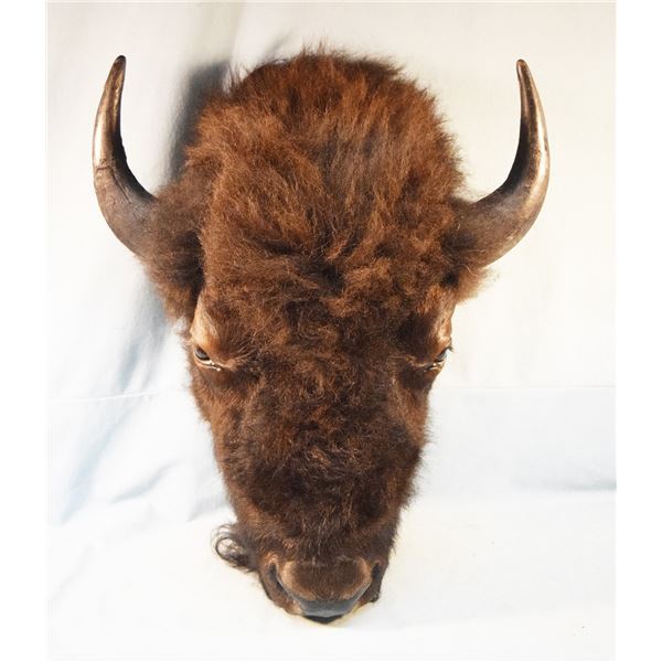 Saloon style buffalo head mount