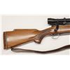 Image 2 : Win. Model 70, .243
