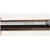 Image 11 : Win. Model 1894, .25-35 WCF