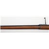 Image 9 : U. S. Springfield Model 1884, black powder