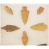 Image 2 : Riker Case: 14 pcs Northern Plains